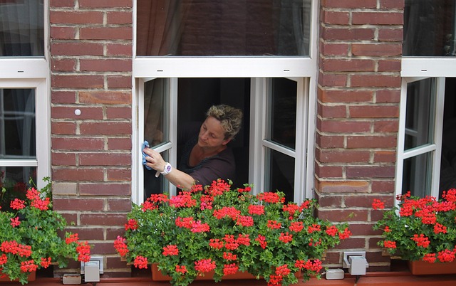 žena myje okna