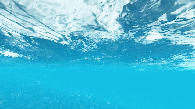 pohled pod vodou